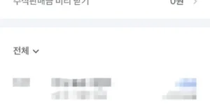 토스미리받기 — 직접 촬영